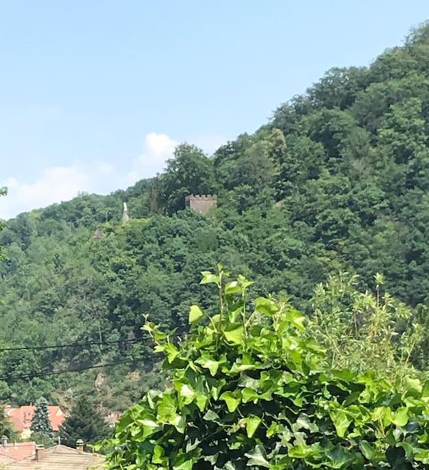 Gite Des Renards La Broque Dış mekan fotoğraf